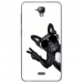 TPU0ALTICES40CHIENVBLANC - Coque souple pour Altice S40 avec impression Motifs chien à lunettes sur fond blanc