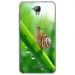 TPU0ALTICES40ESCARGOT - Coque souple pour Altice S40 avec impression Motifs escargot sur une tige