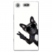 TPU0XZ1COMPCHIENVBLANC - Coque souple pour Sony Xperia XZ1 Compact avec impression Motifs chien à lunettes sur fond blanc