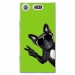 TPU0XZ1COMPCHIENVVERT - Coque souple pour Sony Xperia XZ1 Compact avec impression Motifs chien à lunettes sur fond vert