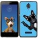 TPU1FOVACHIENVBLEU - Coque Souple en gel noir pour Orange Fova avec impression Motifs chien à lunettes sur fond bleu