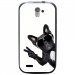TPU1SFRTRAIL4CHIENVBLANC - Coque souple pour SFR StarTrail 4 avec impression Motifs chien à lunettes sur fond blanc