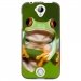 TPU1Z320GRENOUILLE - Coque souple pour Acer Liquid Z320 avec impression Motifs grenouille