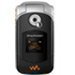 Accessoires pour Ericsson W300i